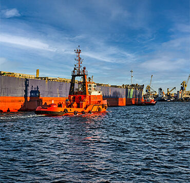 crew and husbandry support